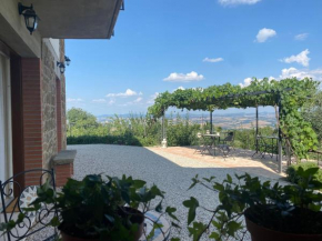 Podere Belsogno-Bilocale Ulivo, Montalcino